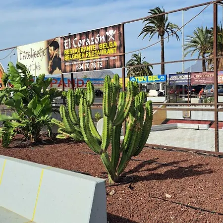 Casa Alexandra Διαμέρισμα